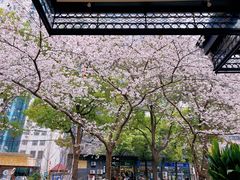 -玛格萝妮比萨屋(四平店)
