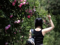 -重庆雨台山风景区