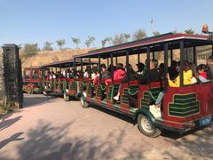 -古柏渡飞黄旅游区