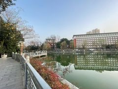-张正麻辣串(宿州路店)