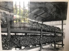 -吐斯廉屠杀博物馆