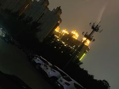-枫花园汽车电影院(朝阳公园店)