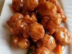 android_upload_pic-宝发园名菜馆
