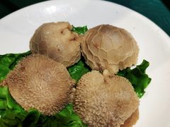 -鹏馨羊羔肉·非遗(新建街店)