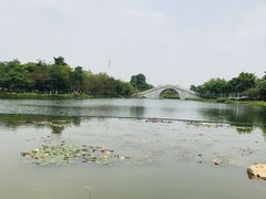 -映月湖公园