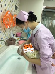 -敦南舒悦月子会所(南湖店)