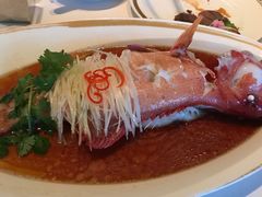-金轩中餐厅 Jin Xuan(浦东丽思卡尔顿酒店)