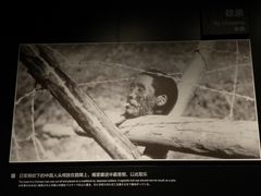 -侵华日军南京大屠杀遇难同胞纪念馆