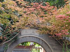 -青州古城