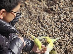 -茅山东方盐湖城景区