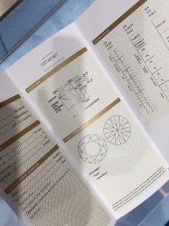-Zbird钻石小鸟·钻戒婚戒定制高端珠宝私人定制中心