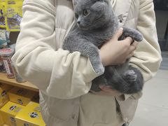 -爱侣宠医·鹦鹉专科·小型哺乳类·异宠专科(灵石路店)