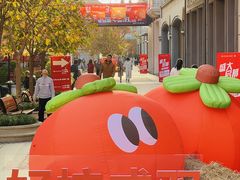 -王府井奥莱临潼小镇(临潼店)