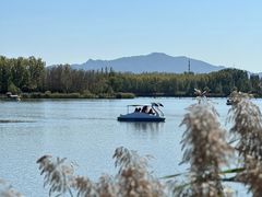 -野鸭湖国家湿地公园