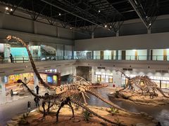 -自贡恐龙博物馆