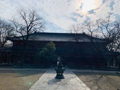 -灵谷景区