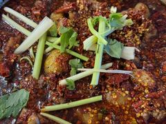 -温江公平红烧兔(总店)