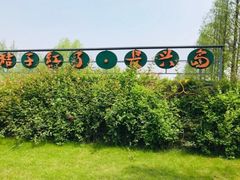 -前小桔亲子创意农场·草莓采摘·露营烧烤