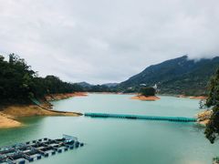 -广州市流溪河国家森林公园
