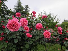 -西湖文化广场