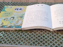 -观潮胜地公园