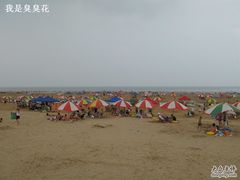 -日照海滨国家森林公园