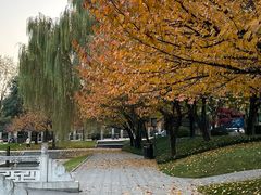 -唐城墙遗址公园