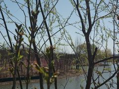 -东郊湿地公园