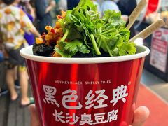 -黑色经典臭豆腐·湖南特产(坡子街特产局店)