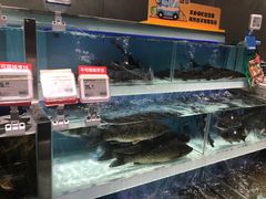 水产区-盒马鲜生(财富中心店)