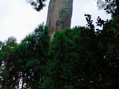 -雁荡山大龙湫景区