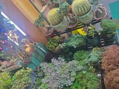 -老姐石板烧烤+铜炭火锅(总店)