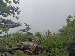 -牛背梁国家森林公园