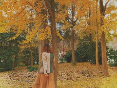 -上海共青森林公园