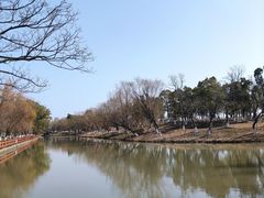 -九科绿洲