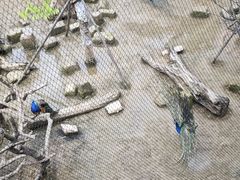-武汉动物园