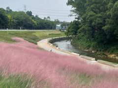 -观澜山水田园
