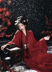 -虞美人古装摄影(汉服体验)