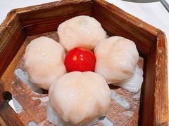 粤食堂虾饺皇-粤食堂(天津和悦汇店)