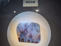 -陕西自然博物馆