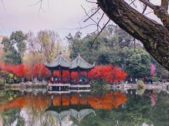-棠湖公园