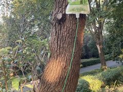 -敬亭山风景名胜区