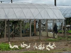 -美家乐农庄·露营·团建(大治路店)