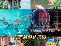 -长鹿旅游休博园