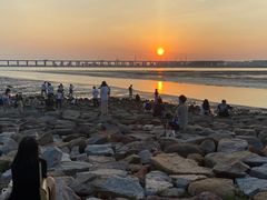 -宝安西湾红树林湿地公园