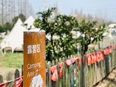 -前小桔亲子创意农场·草莓采摘·露营烧烤