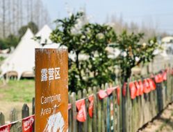 -前小桔亲子创意农场·草莓采摘·露营烧烤