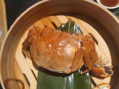 清蒸大闸蟹-蟹榭·本帮江浙菜·蟹宴(五角场合生汇商场店)