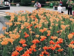 -长春公园(普阳街道)