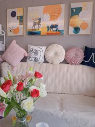 -哈颜科技轻美·